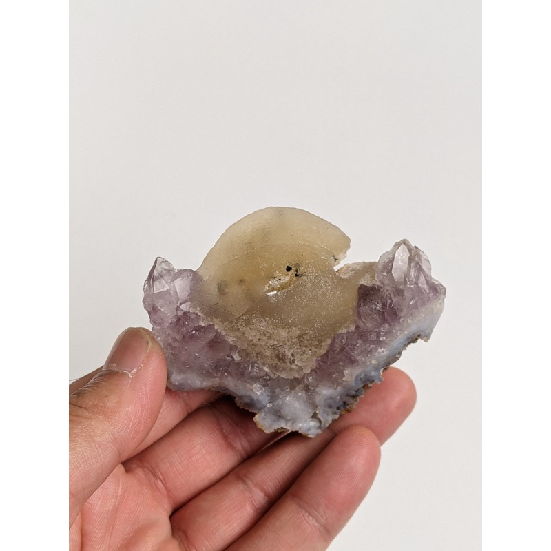 Botryoidal Fluorite Rare Crystal F018