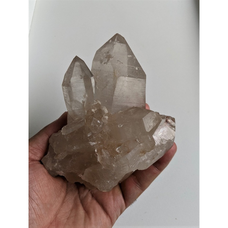 Himalayan Smokey Quartz Cluster Q184