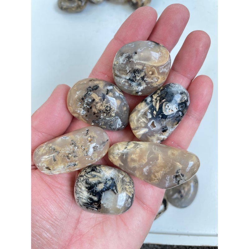 Dendric Agate tumbled stone Large x 1 (30-45mm)