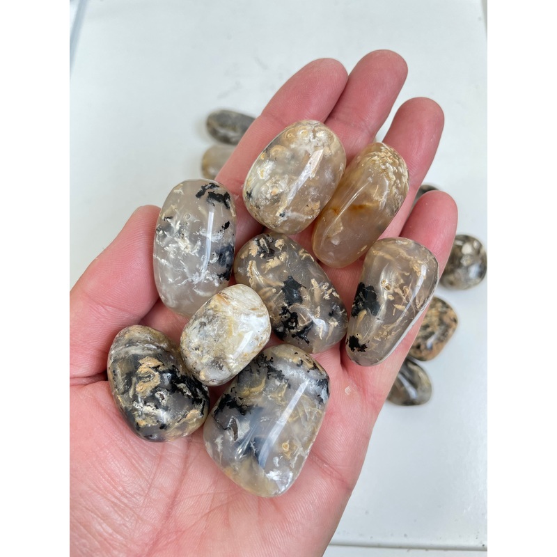 Dendric Agate tumbled stone Medium x 1 (30-45mm)