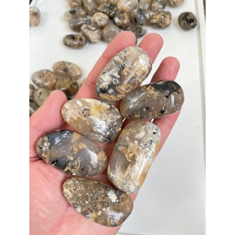 Dendric Agate tumbled stone x-Large, Chunky x 1 (30-45mm)