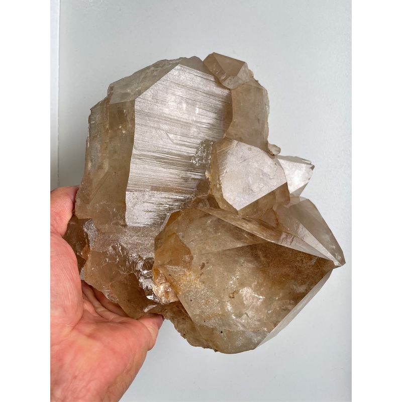 Himalayan Smokey Quartz Record Keeper Crystal Natural Q306