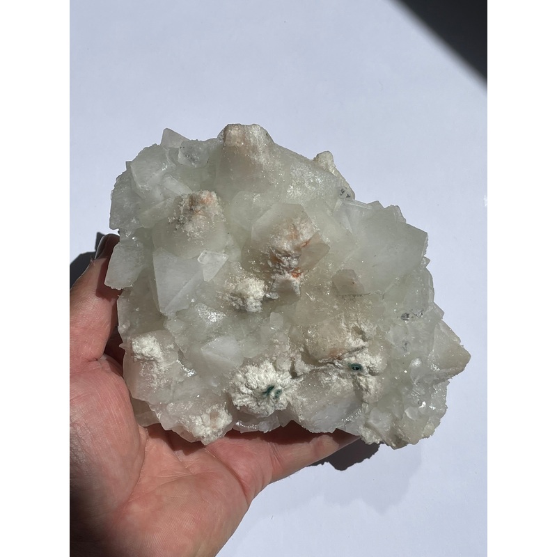 Apophyllite Crystal Cluster AP909 (Free Standing)