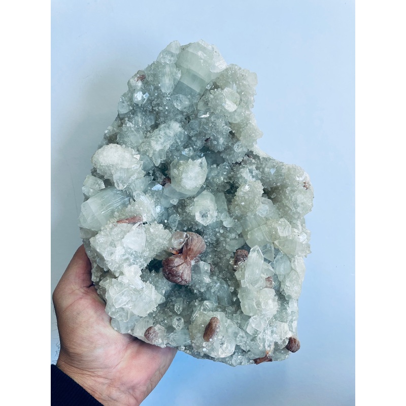 Apophyllite High Grade  Cluster AP156A