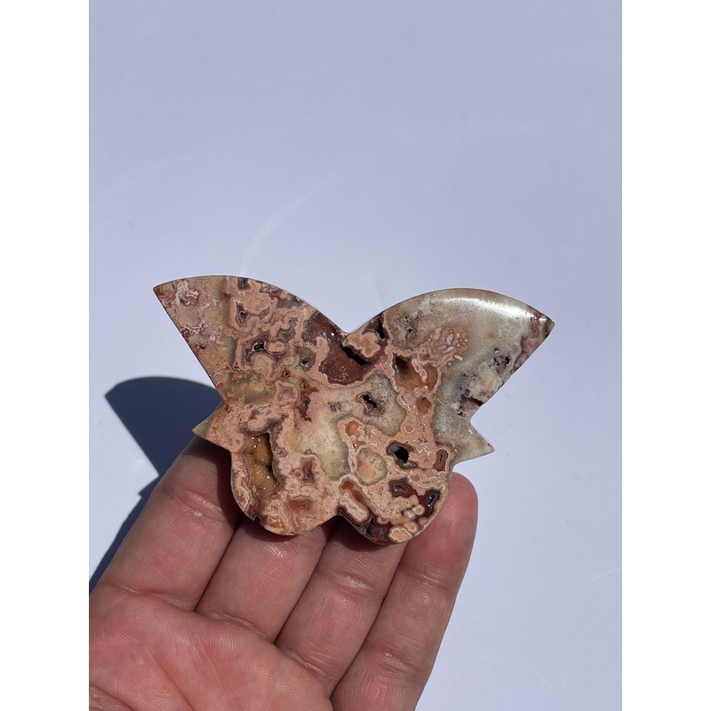 Pink Crazy Lace Agate Butterfly AG158