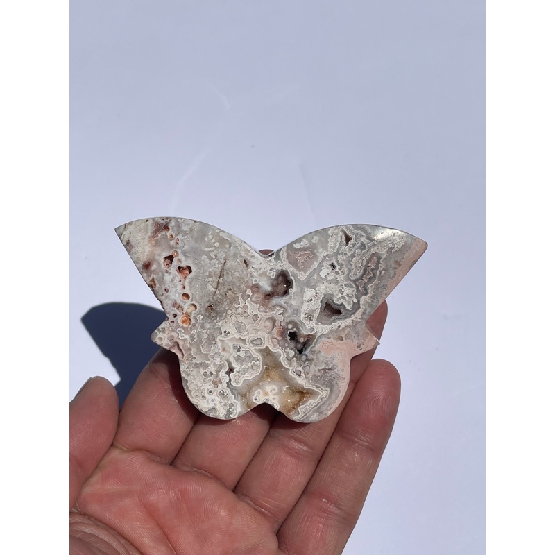 Pink Crazy Lace Agate Butterfly AG161