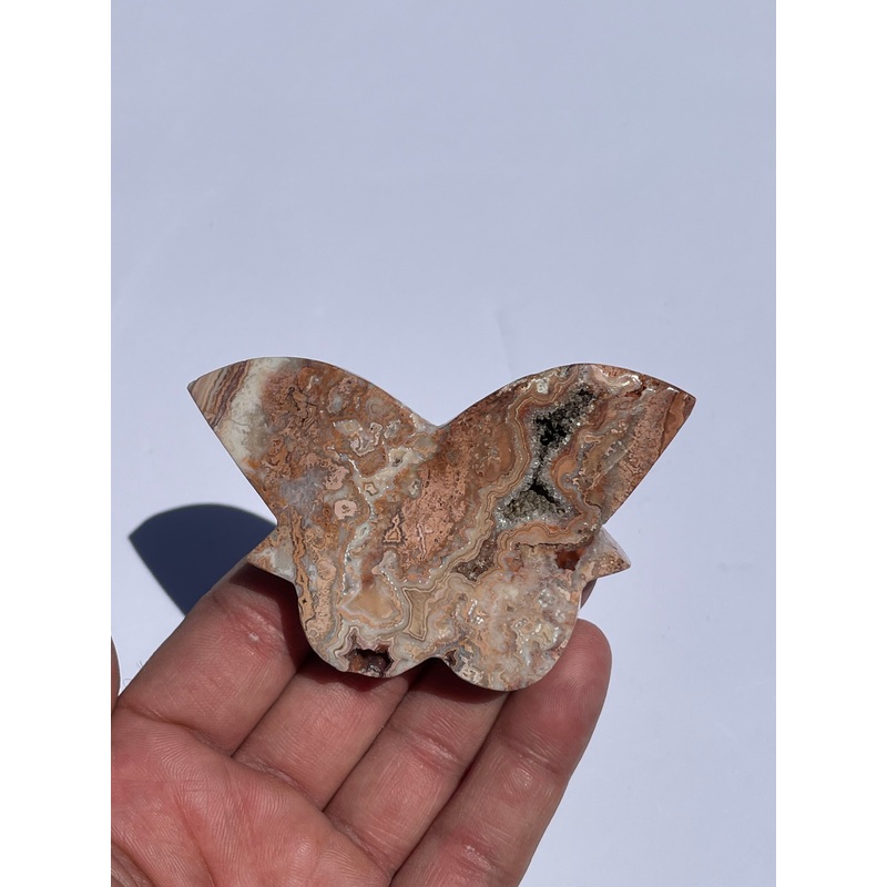 Pink Crazy Lace Agate Butterfly AG163