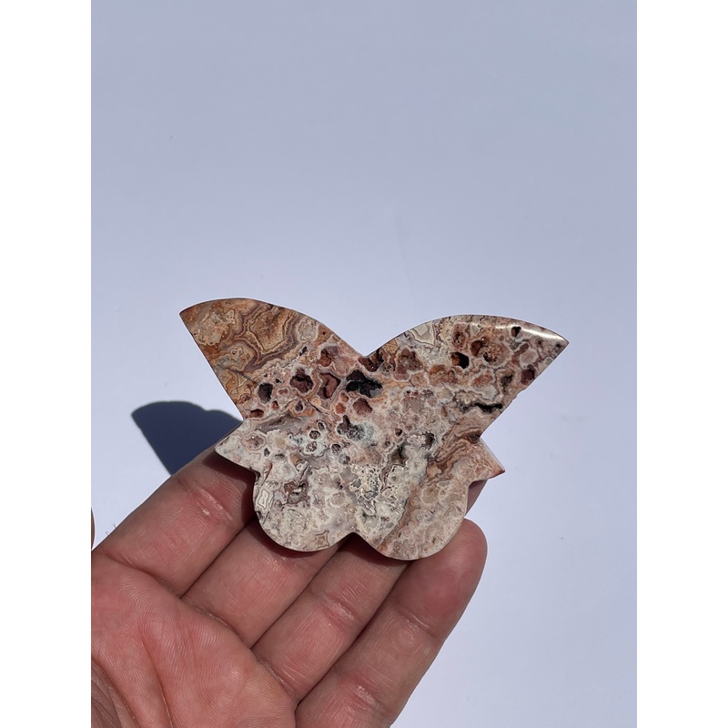 Pink Crazy Lace Agate Butterfly AG166
