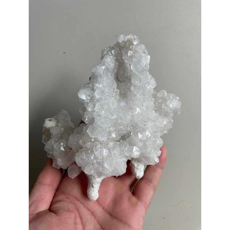 Apophyllite Crystal Cluster AP393a