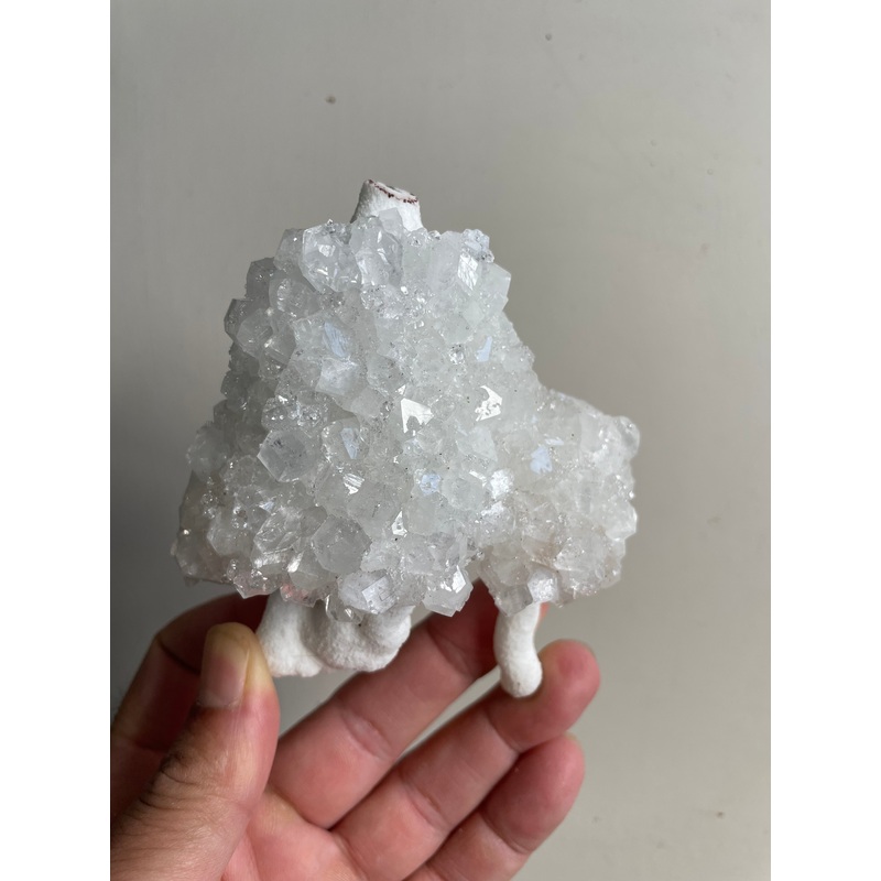 Apophyllite Crystal Cluster AP394a
