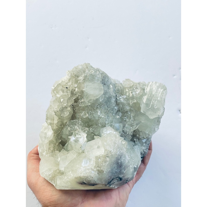 Apophyllite Natural Cluster AP180A