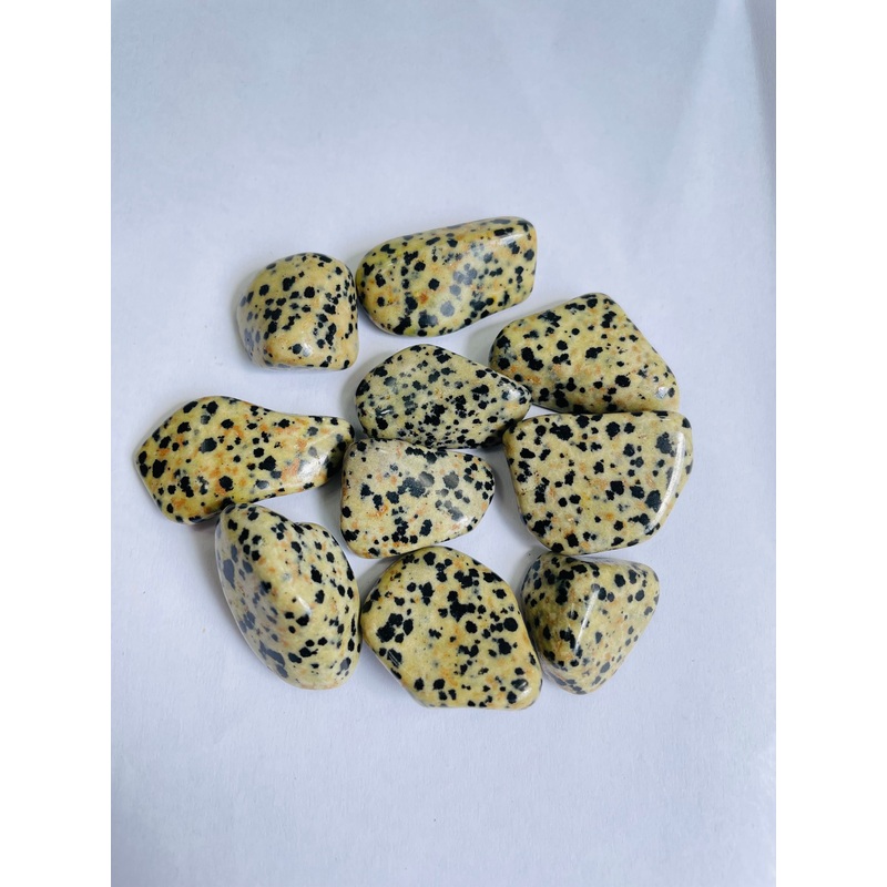 Dalmatian Jasper Stone Tumbled Stones TB062 x 1