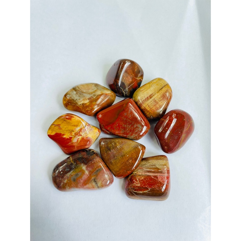 Petrified Wood  ‘Arizona’ Tumbled Stones TB060 x 1