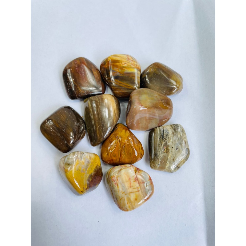 Petrified Wood  ‘Madagascar’ Tumbled Stones TB061 x 1