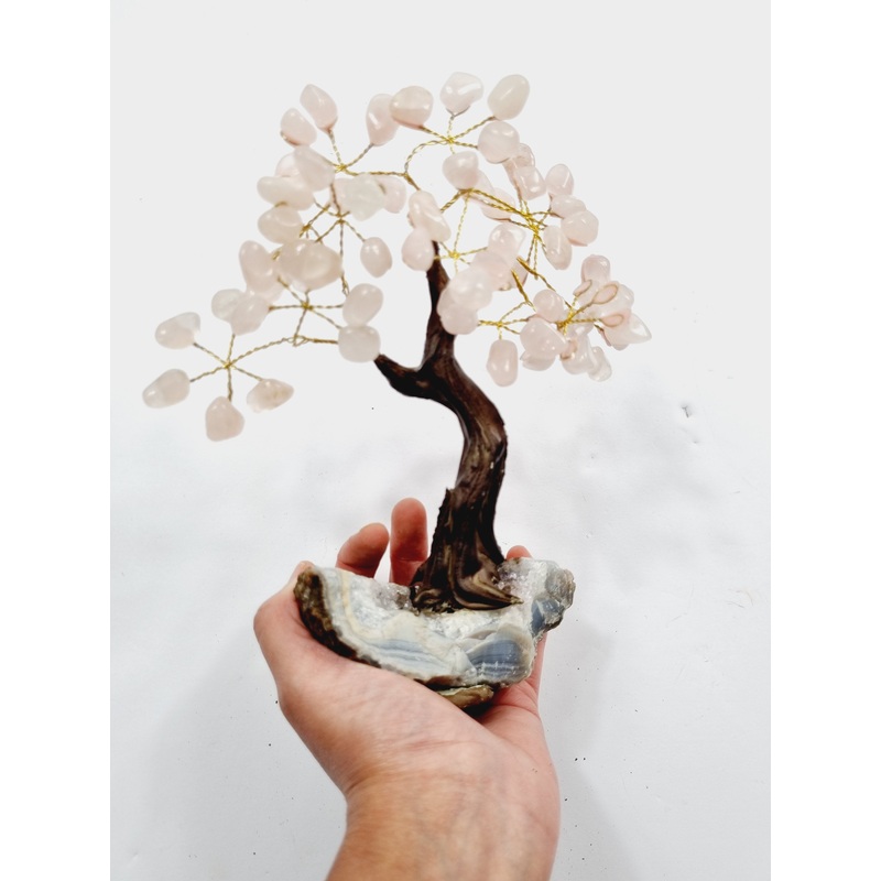Rose Quartz Gem Tree/Crystal Tree (M) 12 branches, 60 CrystalsTR034