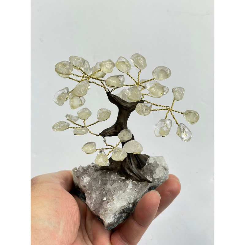 Rose Quartz Gem Tree (S) TR056