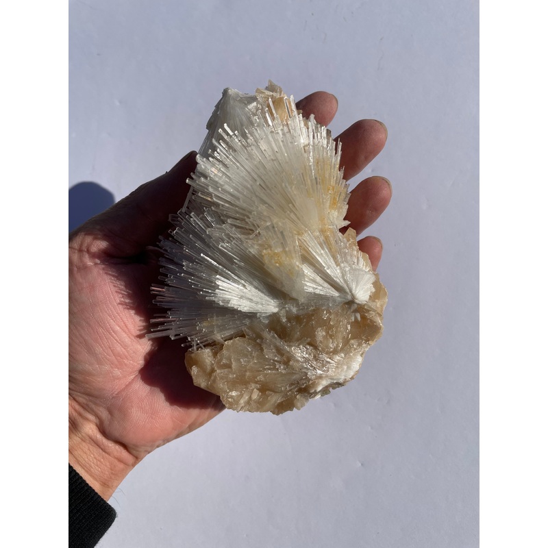 Scolecite Spray Natural Crystal Cluster SC069