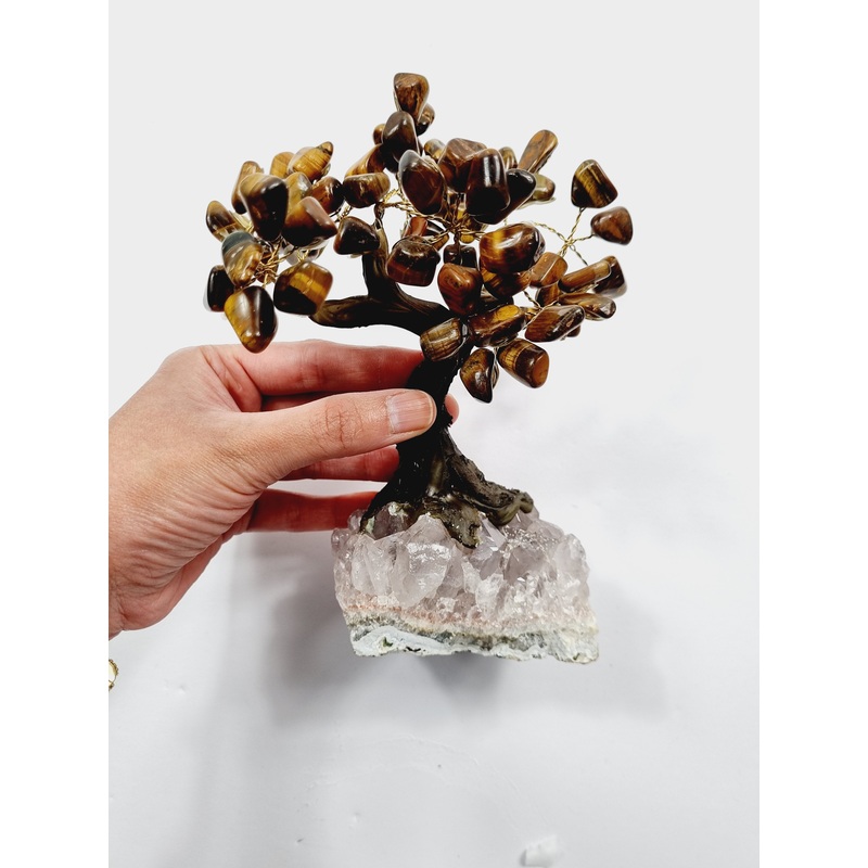 Tiger Eye Gem Tree/Crystal Tree (M) 12 branches, 60 Crystals TR027