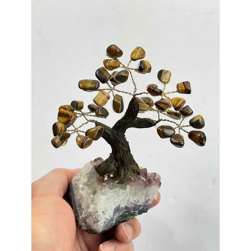 Tiger Eye Gem Tree (S) TR048