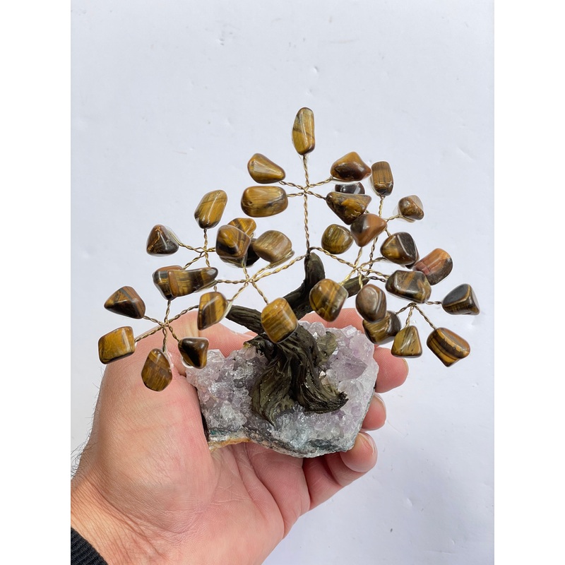 Tiger Eye Gem Tree (S) TR049