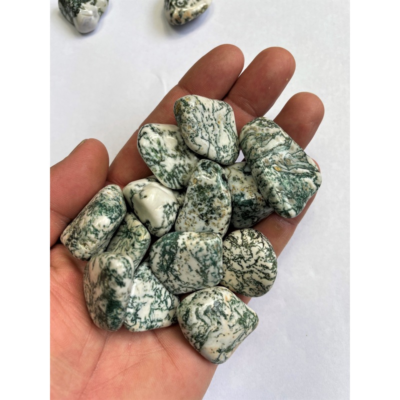 Tree Agate Tumbled Stones TB073 x 1