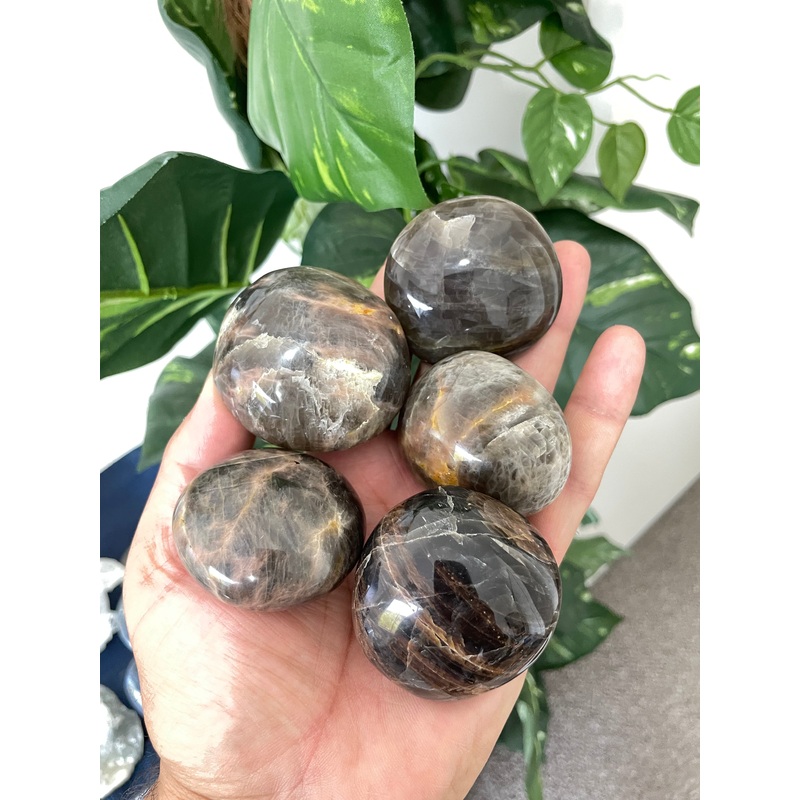 Black Moonstone Palm Stone Natural x 1 PS021