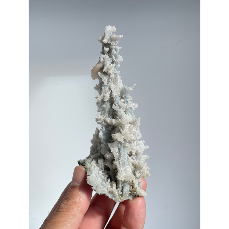 Blue Coral Chalcedony Stalactite Clusters G077
