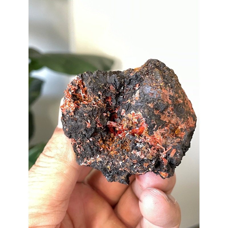 Crocoite Natural Cluster, Tasmania CR047