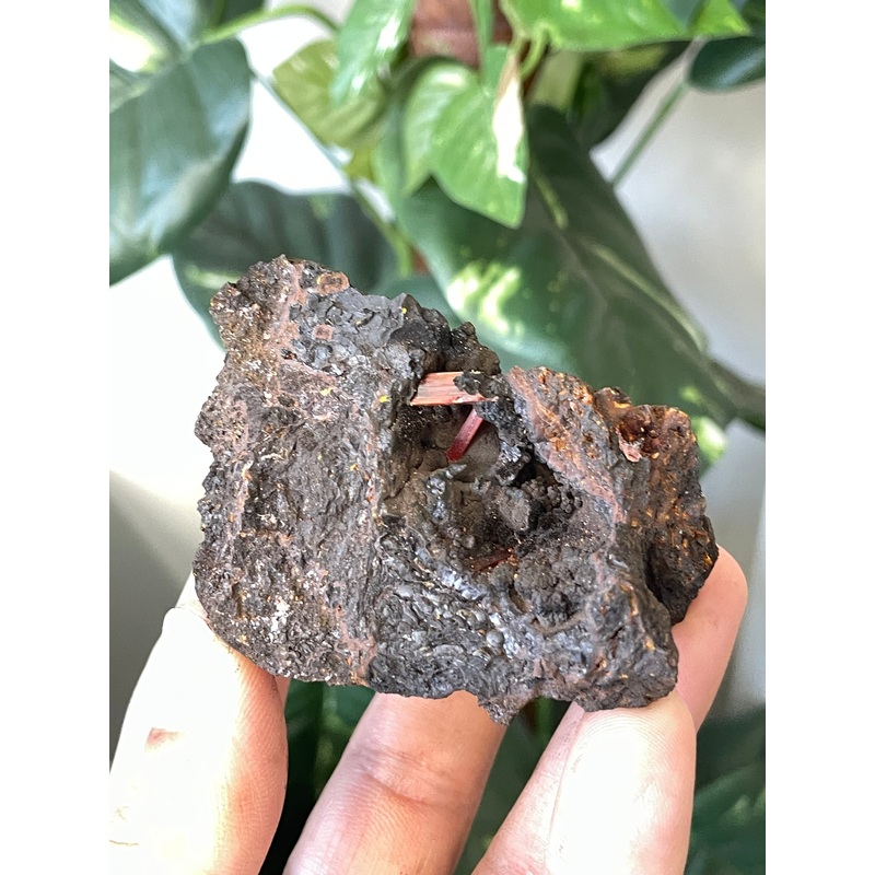 Crocoite Natural Cluster, Tasmania CR048