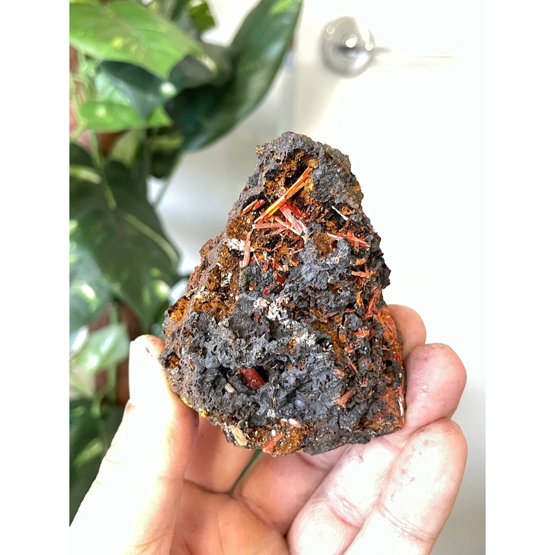 Crocoite Natural Cluster, Tasmania CR050