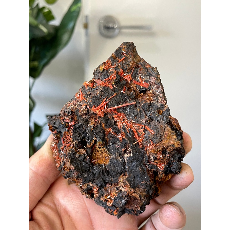 Crocoite Natural Cluster, Tasmania CR057