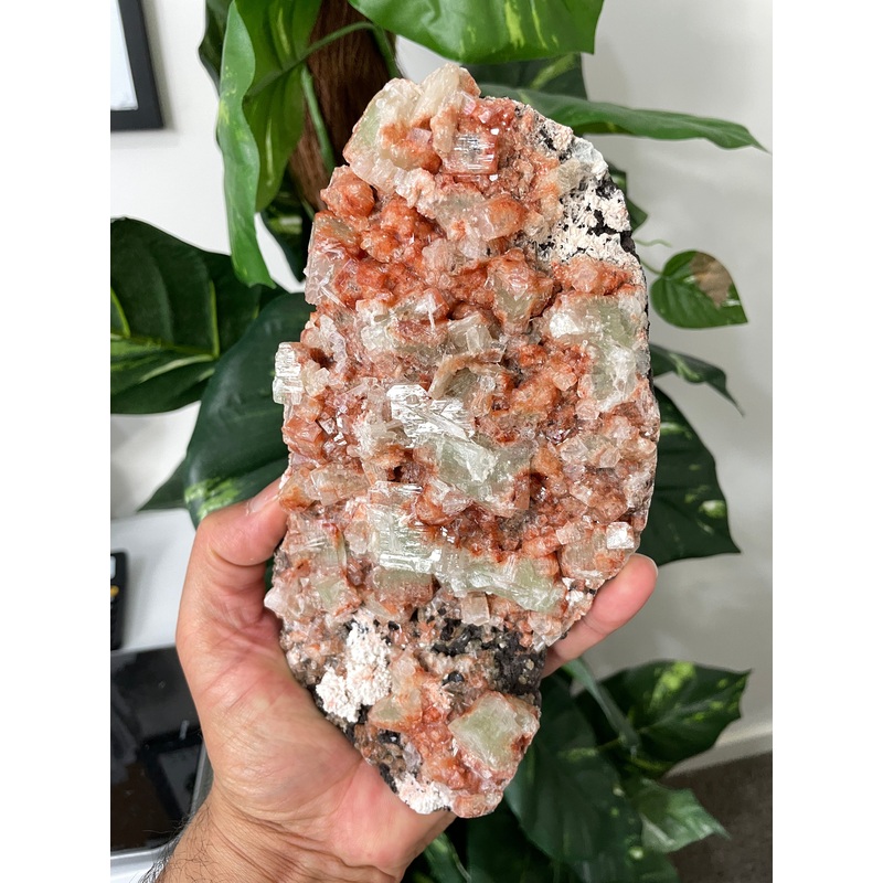 Green Apophyllite Natural Cluster AP482a