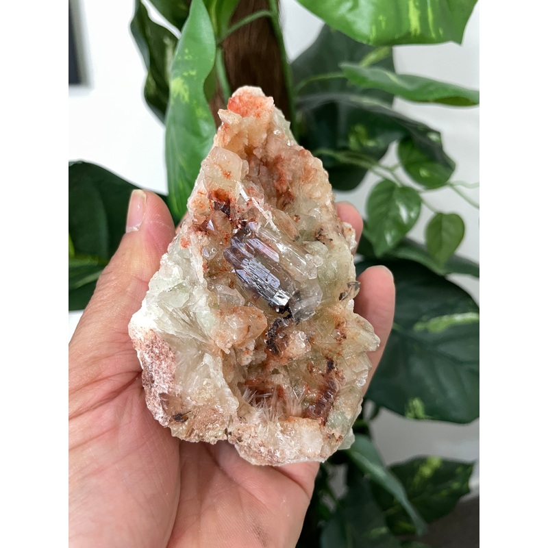 Green Apophyllite Natural Cluster AP484a