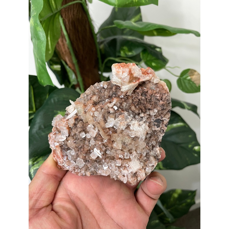 Green Apophyllite Natural Cluster AP487a