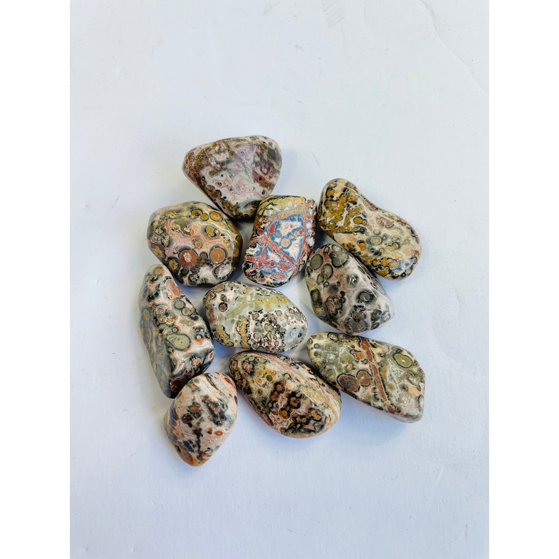 Leopard Skin Jasper Tumbled Stone TB084 x 1