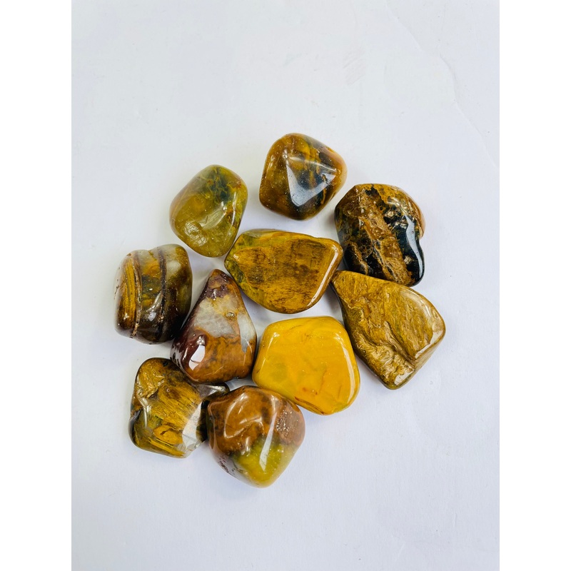 Lion King Jasper Tumbled Stone TB087 x 1