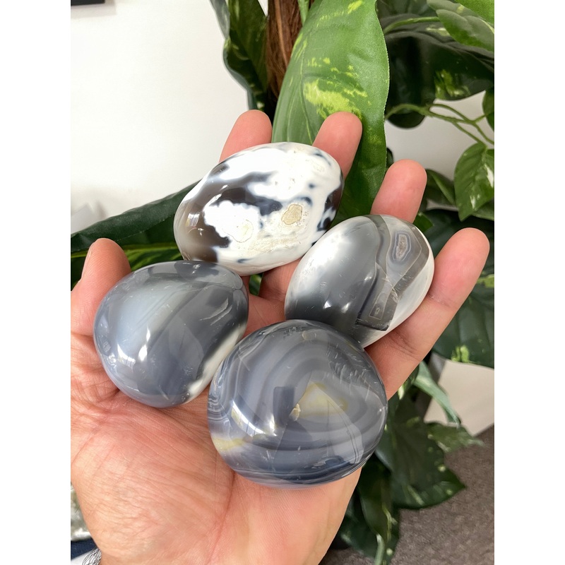 Orca Agate Palm Stone Natural x 1 PS026