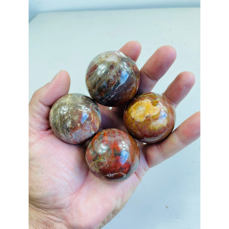 Petrified Wood Sphere S192 x 1