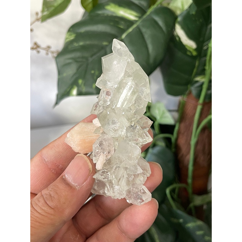 Stalactite Apophyllite cluster pointed DT Crystal AP502a