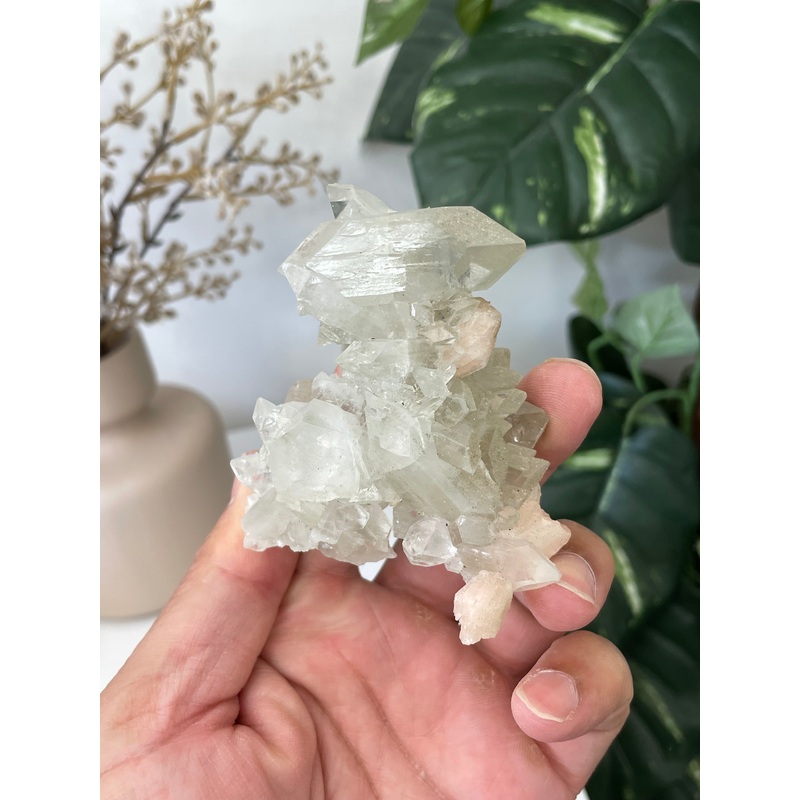 Stalactite Apophyllite cluster pointed DT Crystal AP509a