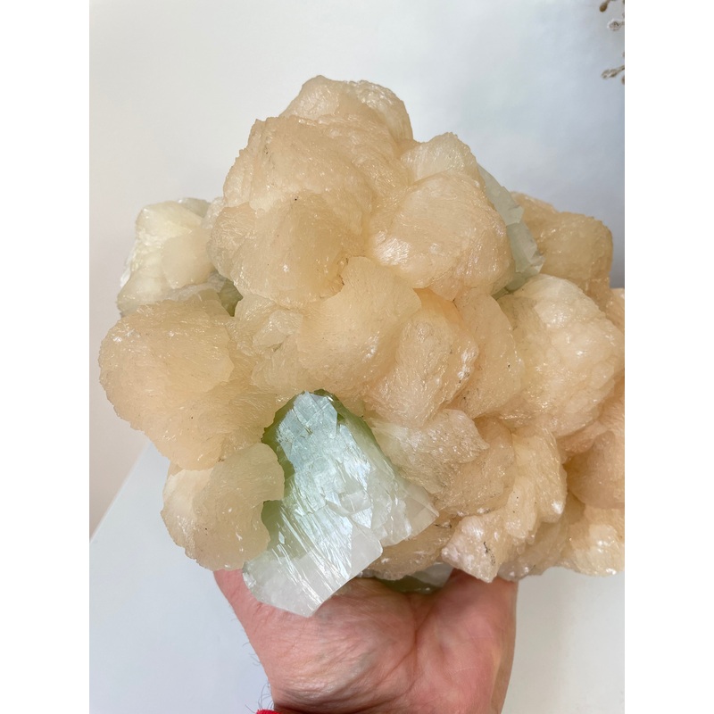 Apophyllite Natural Cluster AP610a