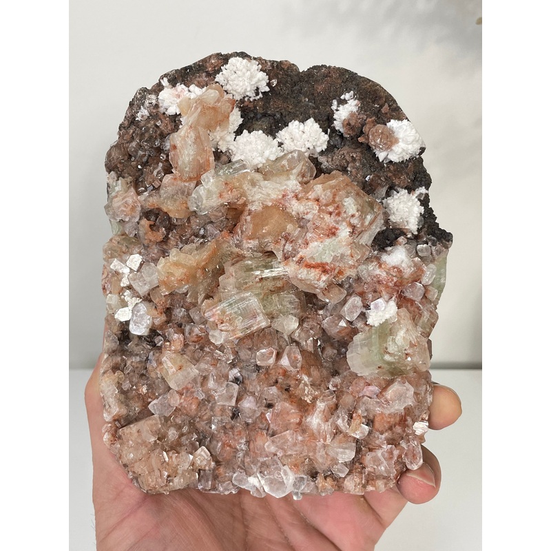 Apophyllite Natural Cluster AP645a