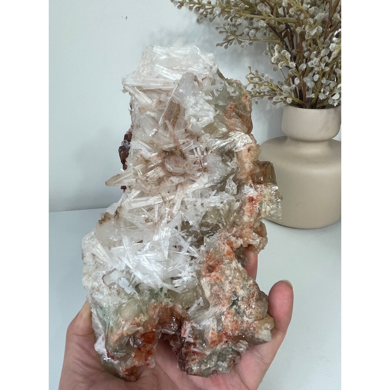 Apophyllite Natural Cluster AP647a