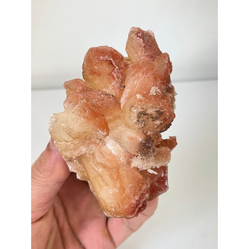 Orange-Red Stilbite Natural Cluster Rare AP627a