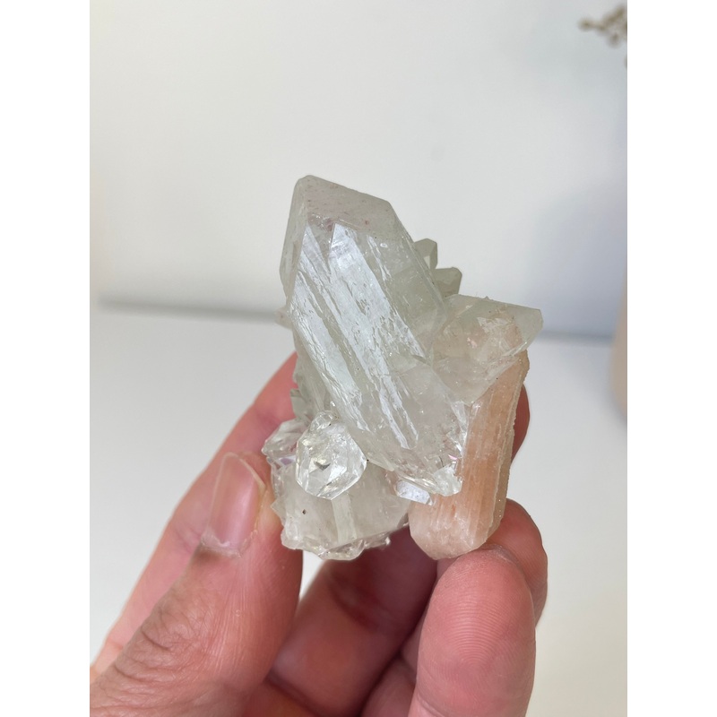 Pointed Apophyllite with Stilbite Cluster AP665a