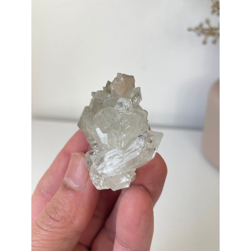 Pointed Apophyllite with Stilbite Cluster AP666a
