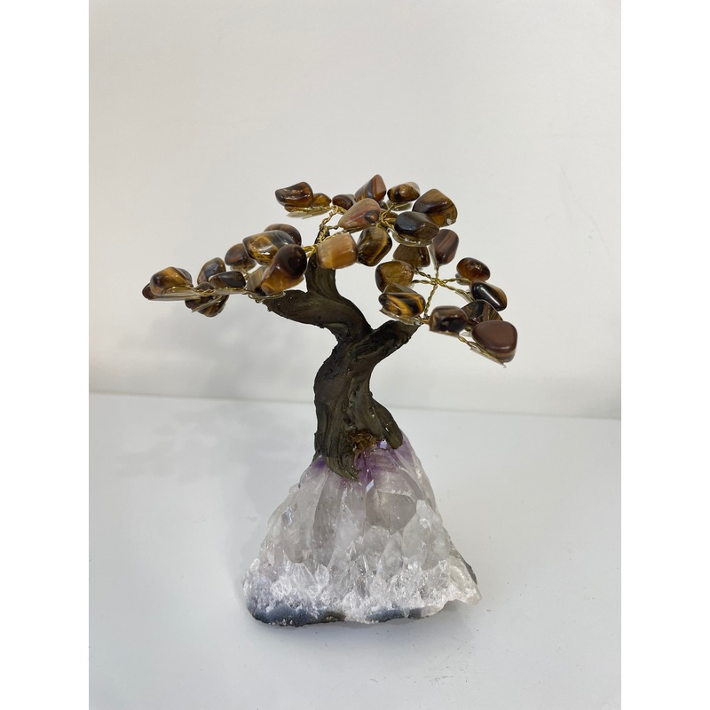 Tiger Eye Gem Tree (S) TR072