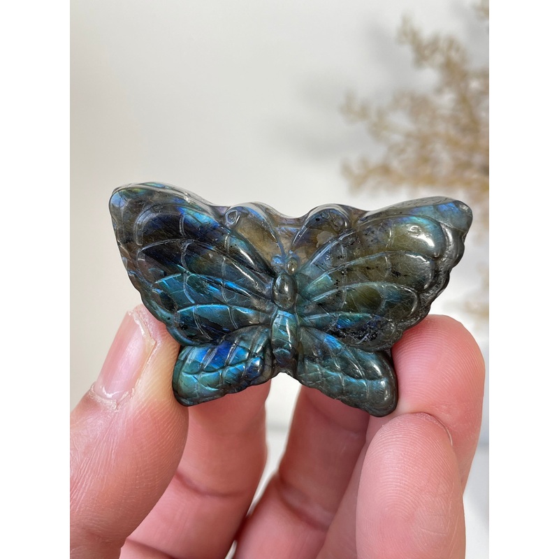 Blue Labradorite Butterfly Carving LA126