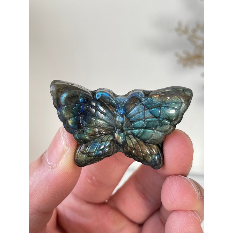 Blue Labradorite Butterfly Carving LA127