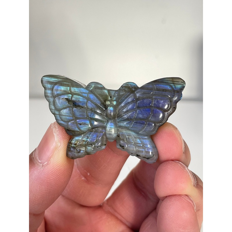 Blue Labradorite Butterfly Carving LA132
